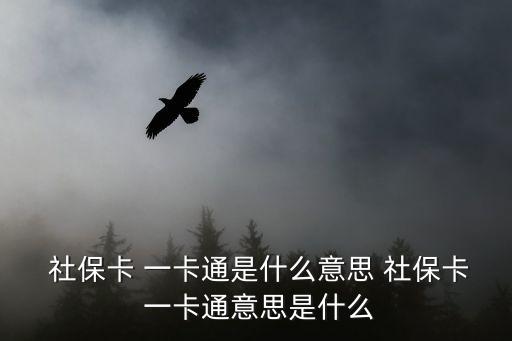  社?？?一卡通是什么意思 社保卡 一卡通意思是什么