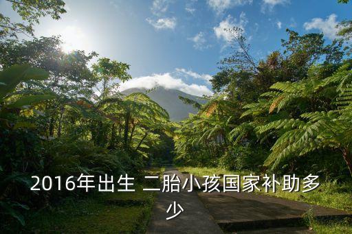 二胎補(bǔ)貼