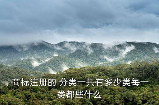 商標(biāo)類(lèi)別分類(lèi)