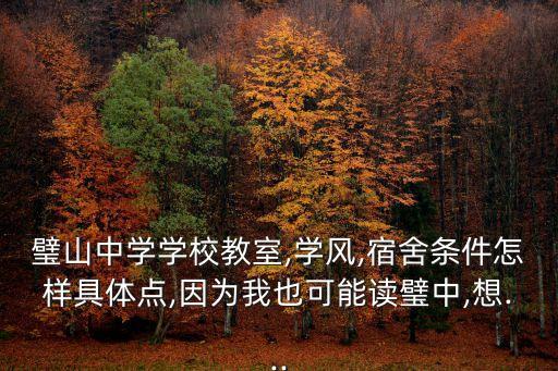 璧山中學(xué)學(xué)校教室,學(xué)風(fēng),宿舍條件怎樣具體點,因為我也可能讀璧中,想...