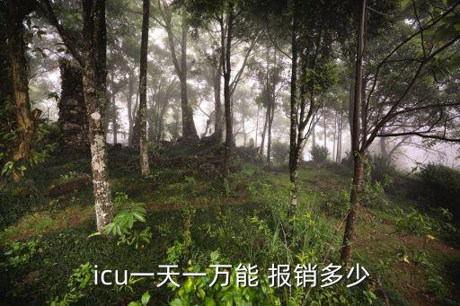  icu一天一萬能 報(bào)銷多少