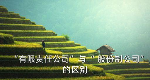 “有限責(zé)任公司”與“ 股份制公司”的區(qū)別
