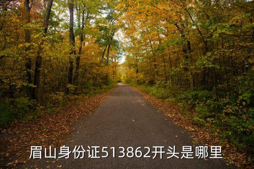 513902,身份證513902