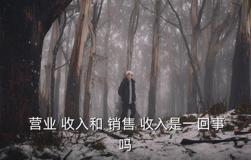  營業(yè) 收入和 銷售 收入是一回事嗎