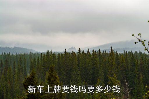 新車上牌要錢嗎要多少錢