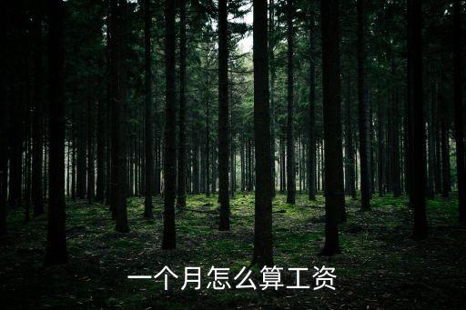月工資計(jì)算方法,個(gè)人所得稅月工資計(jì)算方法
