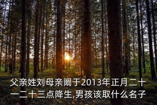 劉樹清