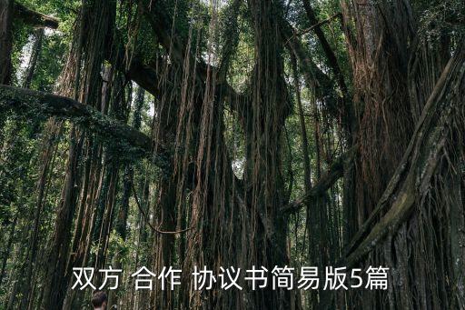 項目合作分成協(xié)議書,美容項目合作合同協(xié)議書