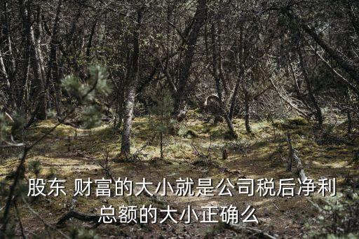 股東財富