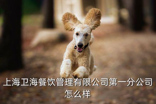 田少華