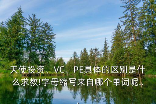 天使投資、VC、PE具體的區(qū)別是什么求教!字母縮寫來(lái)自哪個(gè)單詞呢...