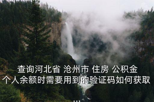  查詢河北省 滄州市 住房 公積金個人余額時需要用到的驗證碼如何獲取...