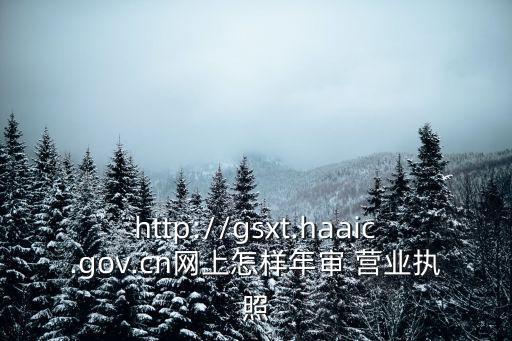 http://gsxt.haaic.gov.cn網(wǎng)上怎樣年審 營業(yè)執(zhí)照