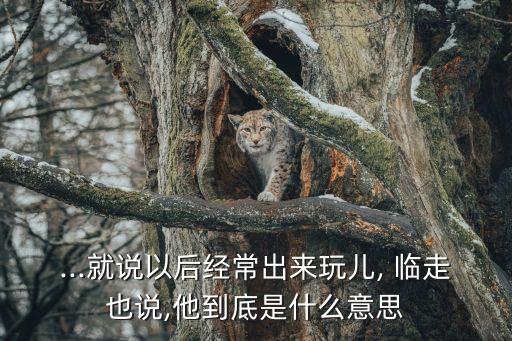 臨走的意思,臨走之前是什么意思