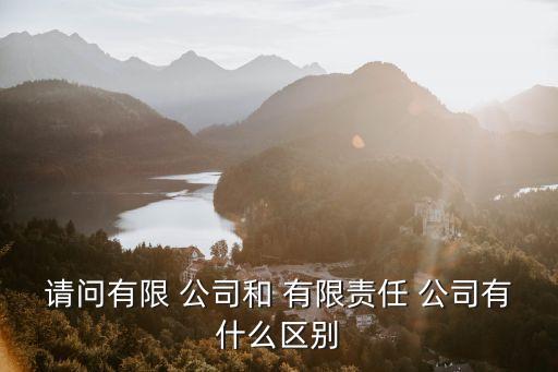 有限責(zé)任公司