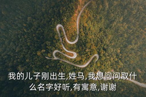 馬錦華