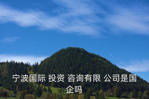 寧波國際 投資 咨詢有限 公司是國企嗎