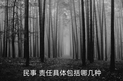  民事 責任具體包括哪幾種
