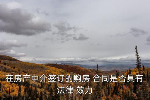 在房產(chǎn)中介簽訂的購房 合同是否具有法律 效力