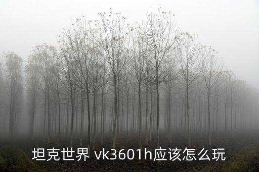 坦克世界 vk3601h應(yīng)該怎么玩