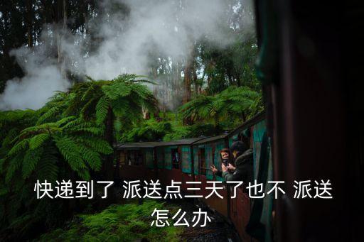  快遞到了 派送點三天了也不 派送怎么辦