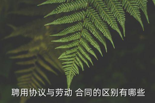 聘用合同法律定義是什么