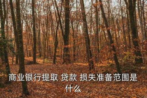 貸款損失準(zhǔn)備
