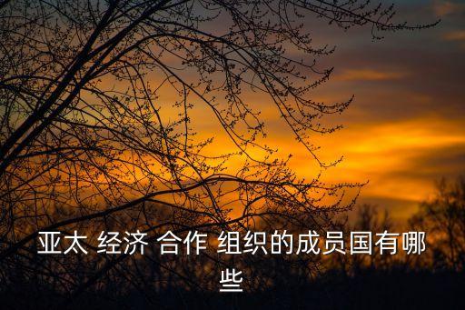 經(jīng)濟合作組織,亞洲太平洋經(jīng)濟合作組織