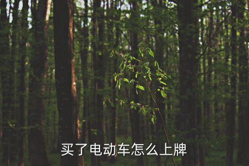 電瓶車上牌