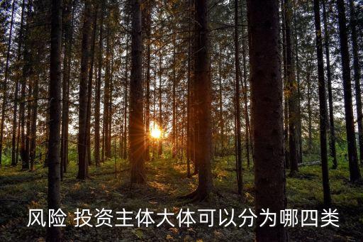 風(fēng)險(xiǎn) 投資主體大體可以分為哪四類