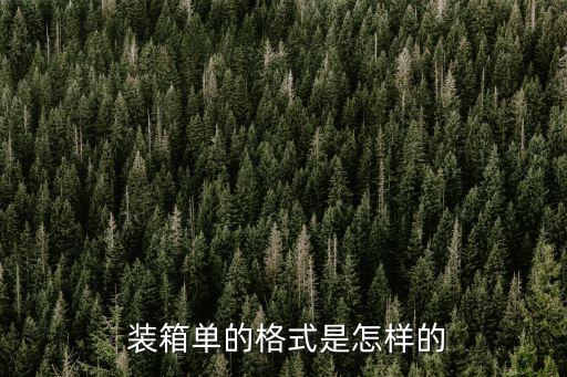 裝箱單