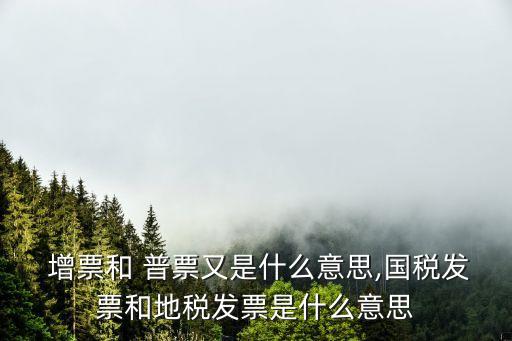 增票和普票的區(qū)別,小規(guī)模納稅人增票和普票的區(qū)別