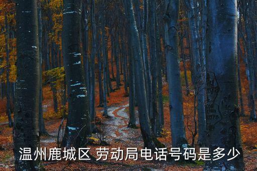  溫州鹿城區(qū) 勞動(dòng)局電話號(hào)碼是多少