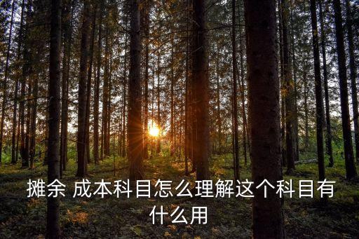  攤余 成本科目怎么理解這個科目有什么用