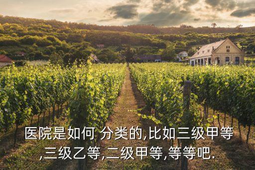 醫(yī)院分類,北京醫(yī)院分類
