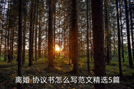 自己寫離婚協(xié)議書怎么寫,女人一旦動了離婚的念頭
