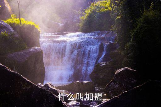 加盟模式,純時(shí)光抗衰加盟模式