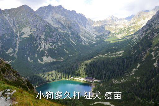狂犬疫苗什么時(shí)候打,第一針狂犬疫苗什么時(shí)候打