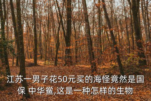 中華鰲