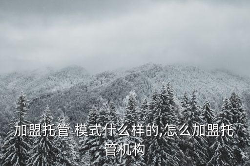 加盟托管 模式什么樣的,怎么加盟托管機(jī)構(gòu)