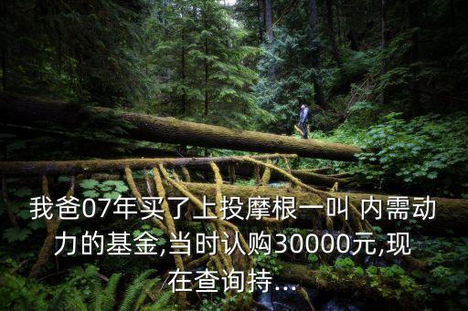 上投內(nèi)需