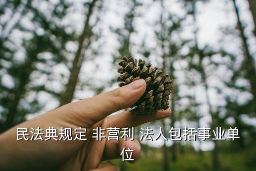 非營(yíng)利法人