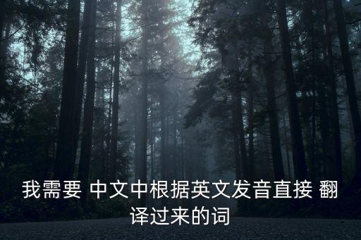 我需要 中文中根據(jù)英文發(fā)音直接 翻譯過來的詞