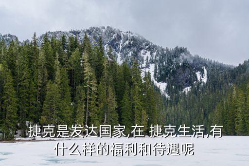 捷克是發(fā)達國家,在 捷克生活,有什么樣的福利和待遇呢