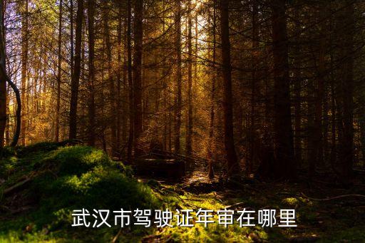 武漢市車管所