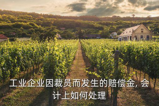 解除勞動合同經(jīng)濟補償金會計分錄