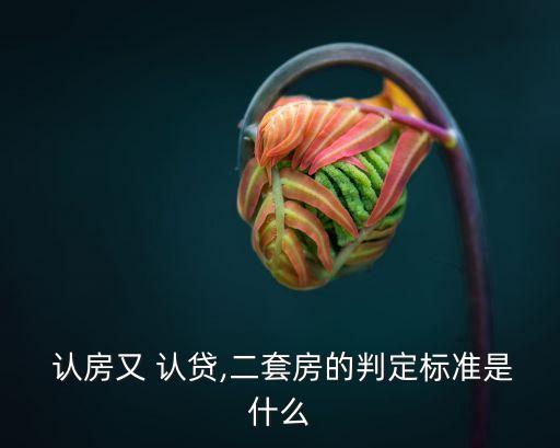 認(rèn)房又認(rèn)貸,上海取消認(rèn)房又認(rèn)貸