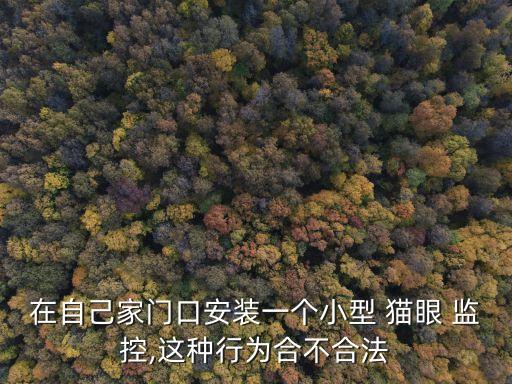 貓眼監(jiān)控