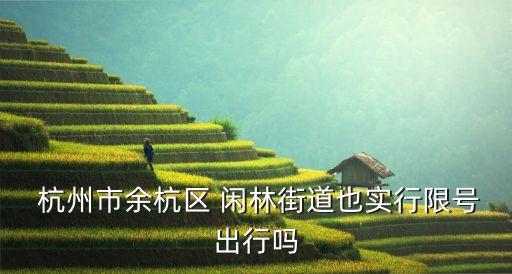 杭州閑林