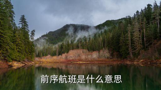  前序航班是什么意思